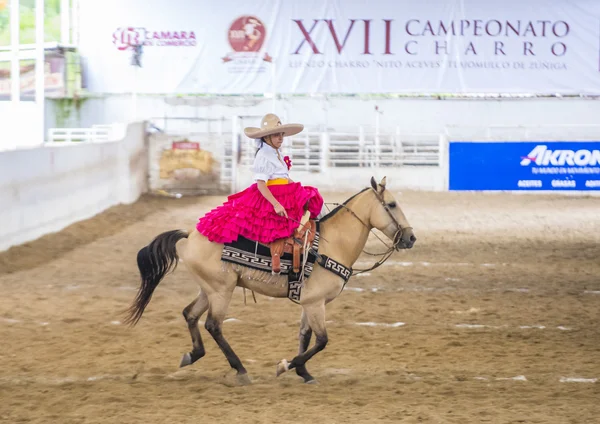 国际墨西哥流浪乐队 & Charros 节 — 图库照片