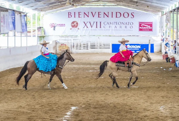 Festival internazionale Mariachi & Charros — Foto Stock