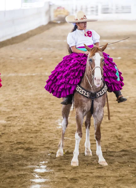 Uluslararası Mariachi ve Charros Festivali — Stok fotoğraf