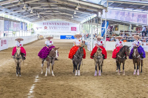 Uluslararası Mariachi ve Charros Festivali — Stok fotoğraf