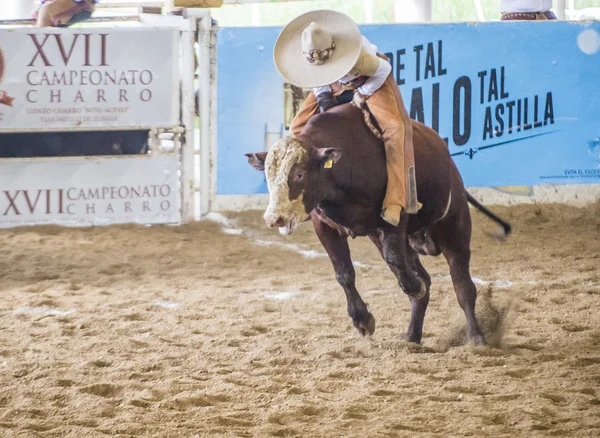 International Mariachi & Charros festival — Stockfoto