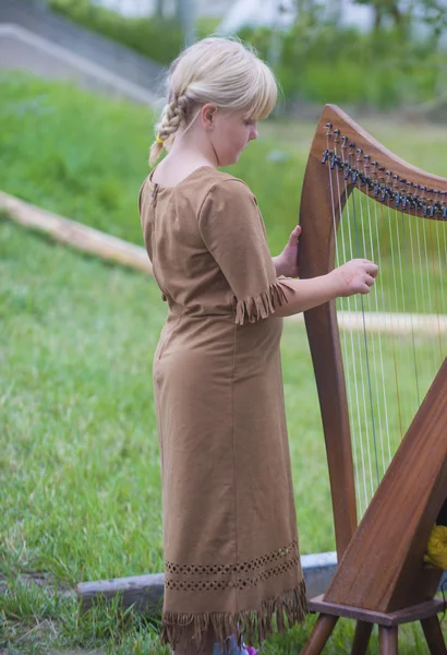 Fort Bridger Rendezvous 2014 — Foto Stock