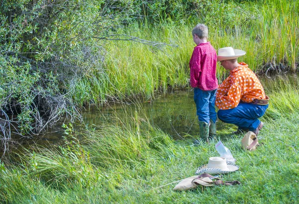 Fort bridger rendez-vous 2014 — Stockfoto