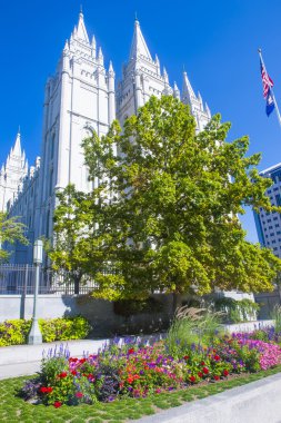 salt lake city Mormonlar Tapınağı