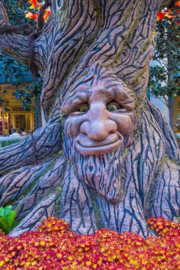 Bellagio Hotel Konservatuarı ve Botanik Bahçeleri