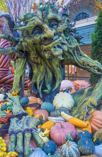 ベラージオ ホテルのコンサバトリー ・植物園 — ストック写真