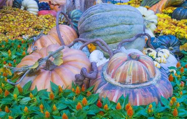 Pumpkins — Stock Photo, Image