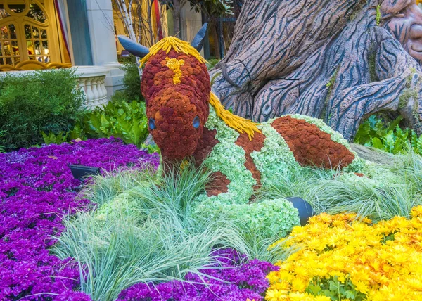 Bellagio Hotel Conservatory & Botanical Gardens — Stock Photo, Image