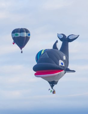 Albuquerque Balon Fiesta