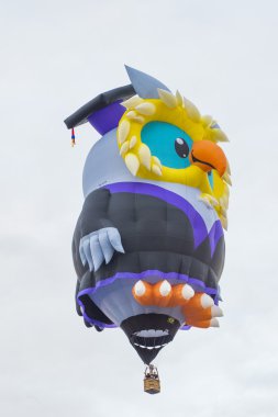 Albuquerque Balon Fiesta