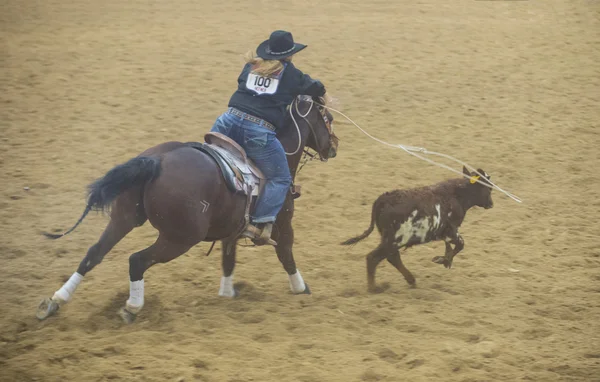 Indyjski krajowych finałach rodeo — Zdjęcie stockowe