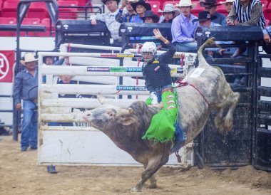 Hint Ulusal Finaller rodeo