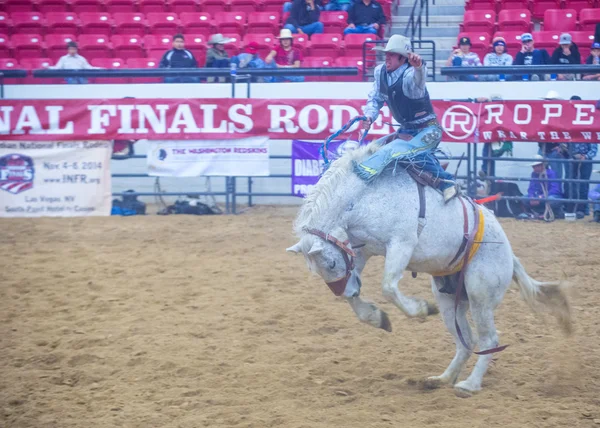 Indian national finals rodeo — Stock Photo, Image