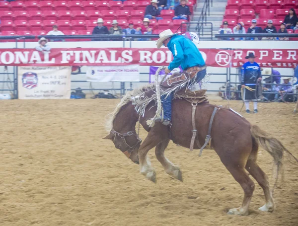 Indian national finals rodeo — Stock Photo, Image