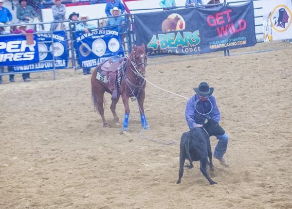 Indický národní finále rodeo — Stock fotografie