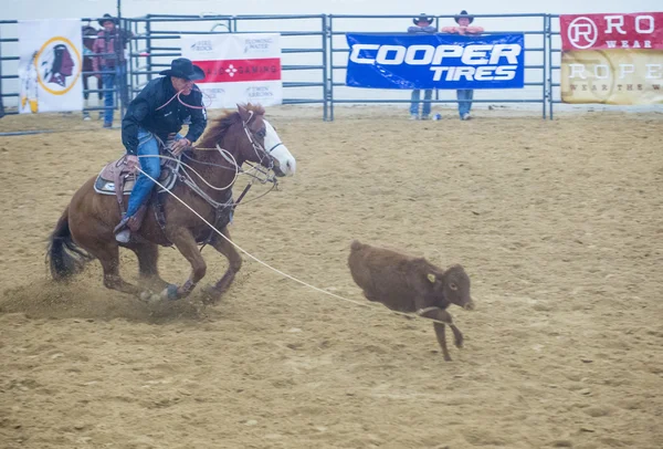 Final nacional indiana rodeio — Fotografia de Stock