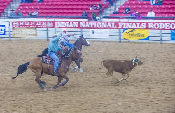 Indiai nemzeti döntő rodeo — Stock Fotó