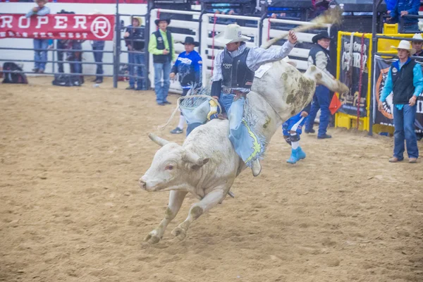 Indiase nationale finale rodeo — Stockfoto