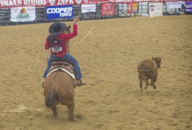 Hint Ulusal Finaller rodeo