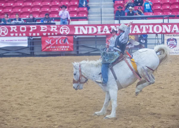 Indický národní finále rodeo — Stock fotografie