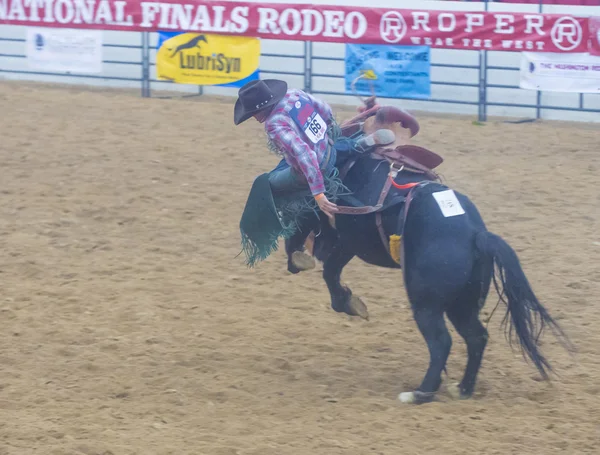 Indian national finals rodeo — Stock Photo, Image