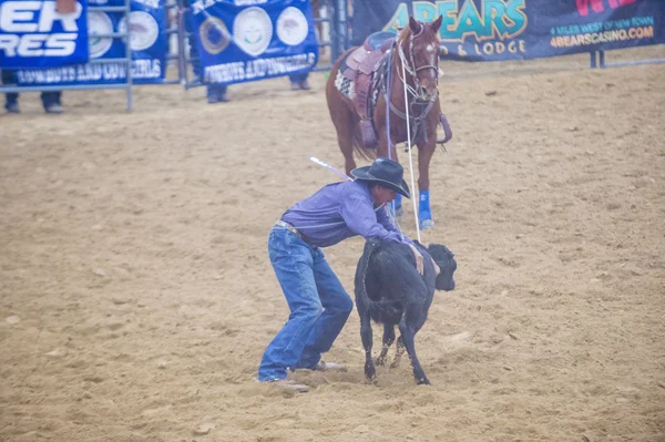 Indian national finals rodeo — Stock Photo, Image