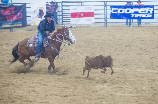 Indiska nationella finalen rodeo — Stockfoto