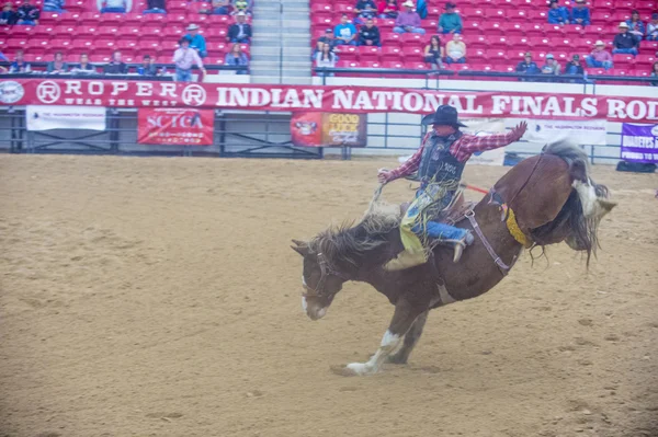 Indian national finals rodeo — Stock Photo, Image