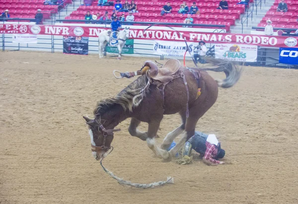 Indian national finals rodeo — Stock Photo, Image