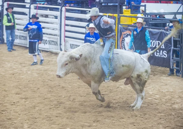 Rodeo de las finales nacionales indias — Foto de Stock