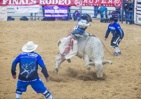 Indiase nationale finale rodeo — Stockfoto