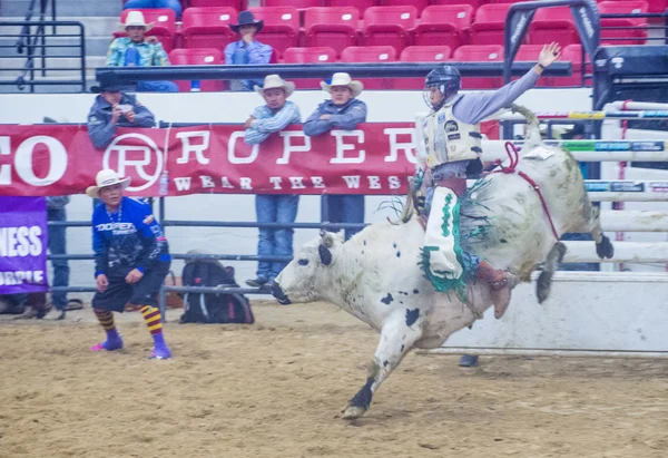 Indian national finals rodeo — Stock Photo, Image