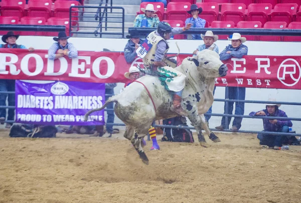 Indian national finals rodeo — Stock Photo, Image