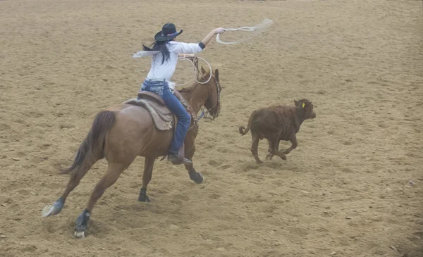 Indyjski krajowych finałach rodeo — Zdjęcie stockowe