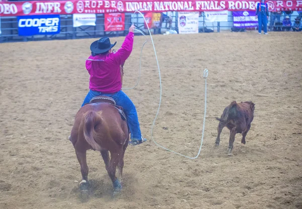 Indian national finals rodeo — Stock Photo, Image