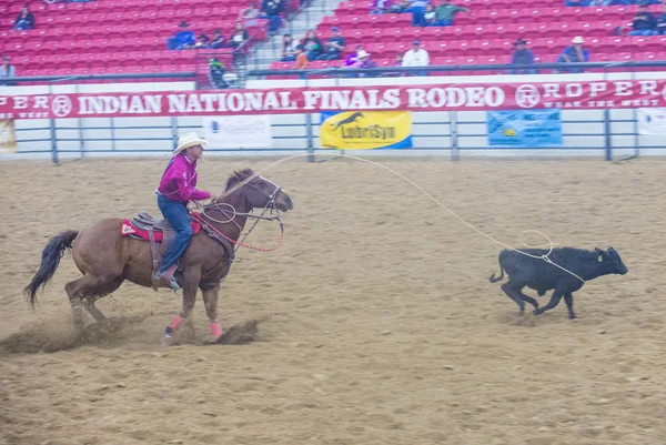 Indiase nationale finale rodeo — Stockfoto