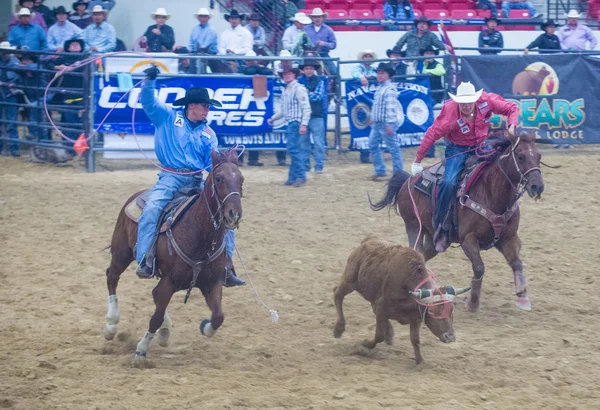 Indiska nationella finalen rodeo — Stockfoto