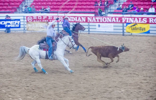 Indian national finals rodeo — Stock Photo, Image