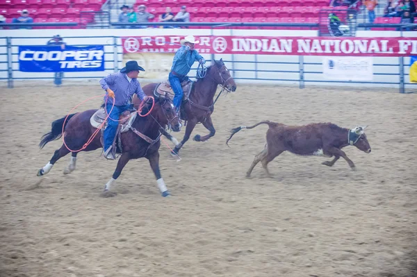 Indiai nemzeti döntő rodeo — Stock Fotó