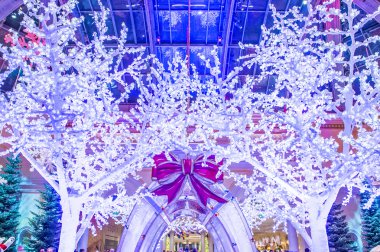 Bellagio Hotel Konservatuarı ve Botanik Bahçeleri