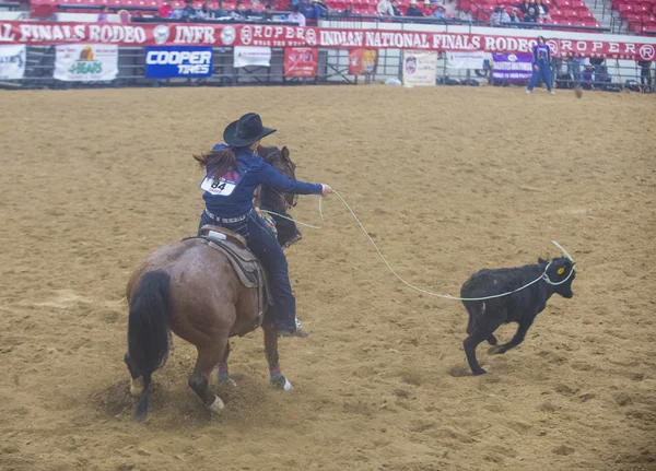 Indyjski krajowych finałach rodeo — Zdjęcie stockowe