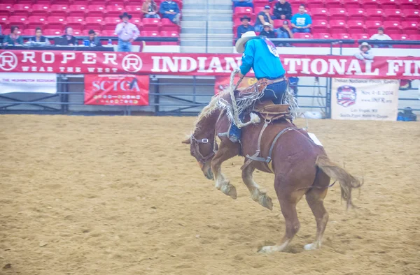 Indiase nationale finale rodeo — Stockfoto