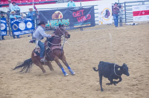 Indian national finals rodeo — Stock Photo, Image