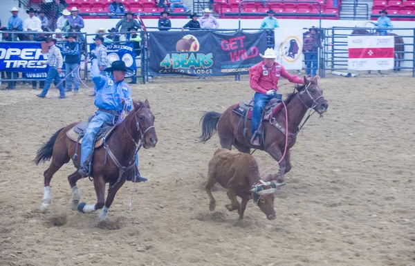 Indian national finals rodeo — Stock Photo, Image