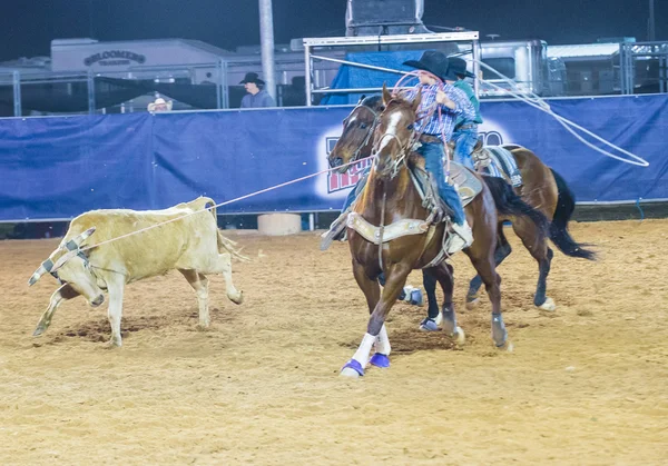 Feria y Rodeo del Condado de Clark — Foto de Stock