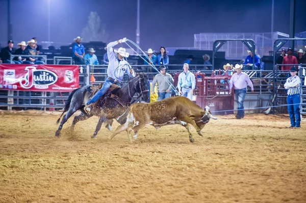 Clark County Fair e Rodeo — Foto Stock