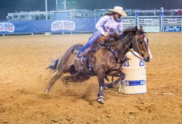 Clark county Fuar ve rodeo — Stok fotoğraf