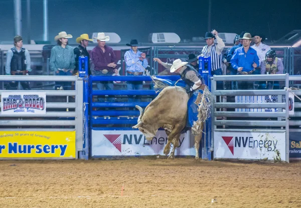 Clark county fair i rodeo — Zdjęcie stockowe