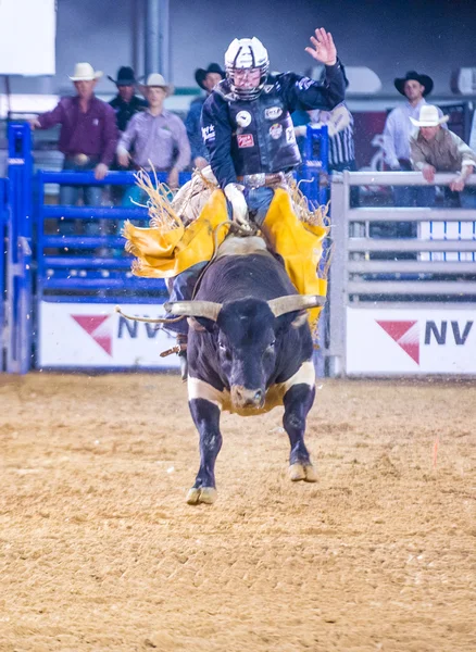 Clark county fair en rodeo — Stockfoto