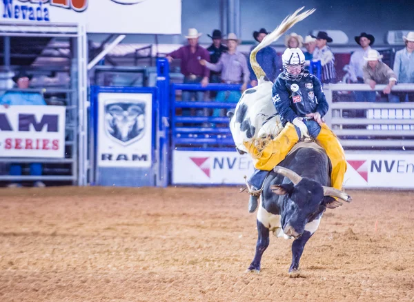 Clark county fair och rodeo — Stockfoto